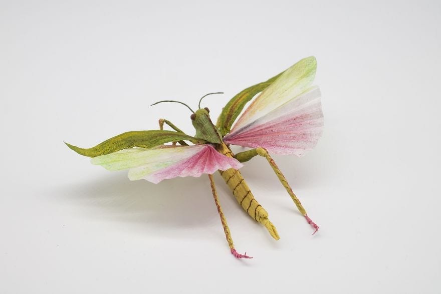 Tina Kraus réalise des insectes et des animaux en papier crépon