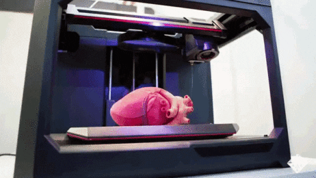 Impression 3D - Coeur humain