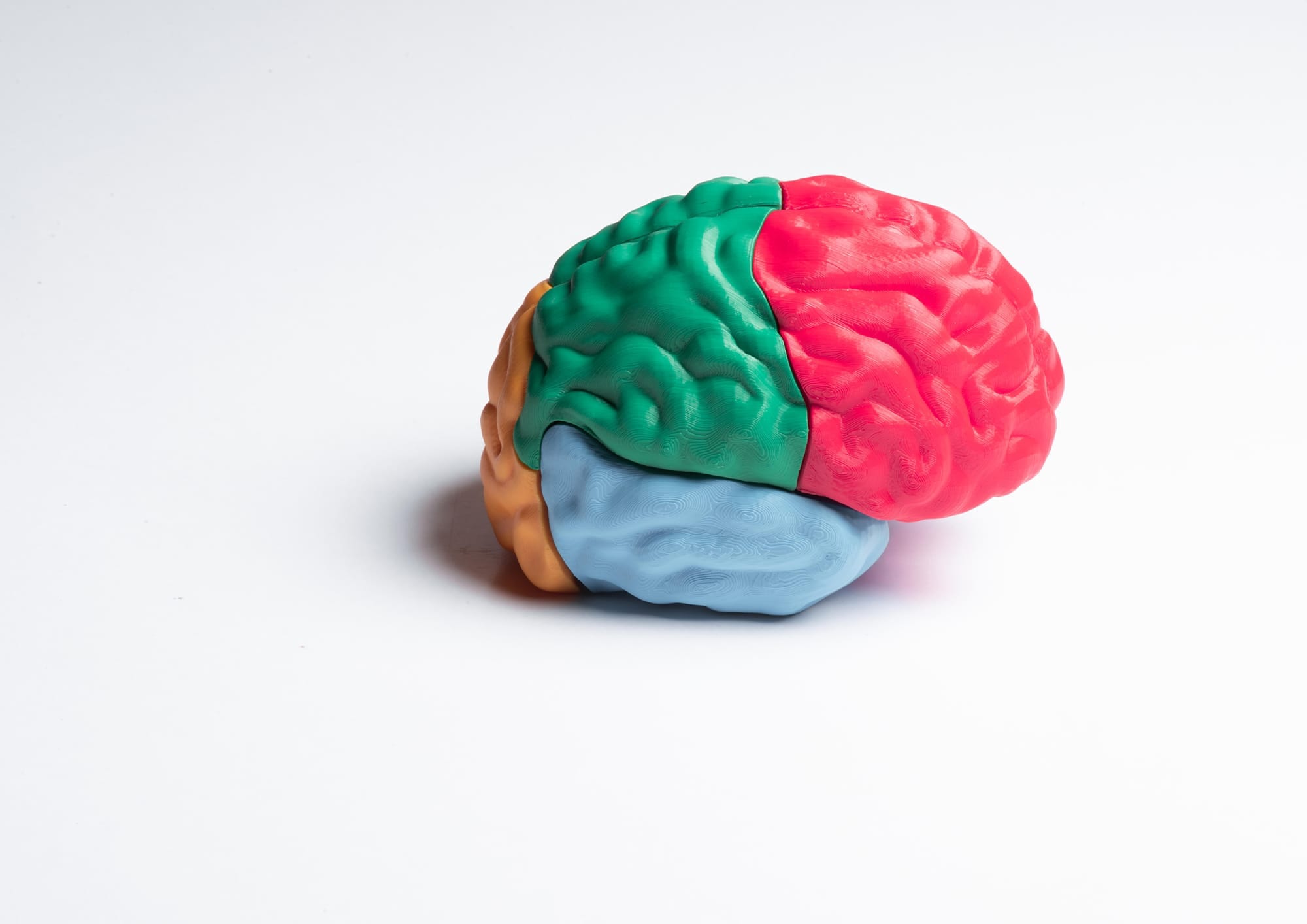 Brain : Un puzzle en 3D pour éduquer les enfants à l’épilepsie