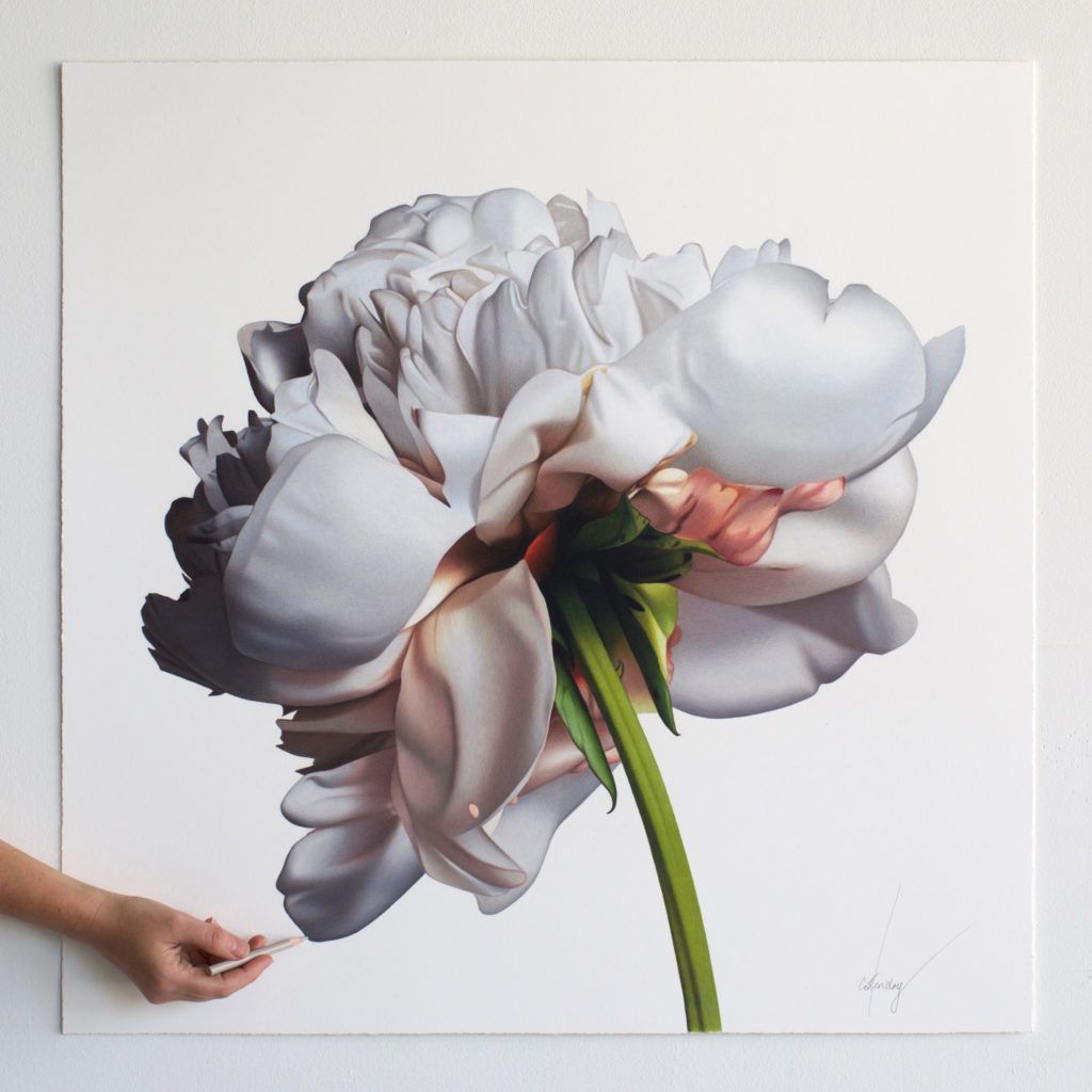 Les fleurs hyperréalistes de CJ Hendry