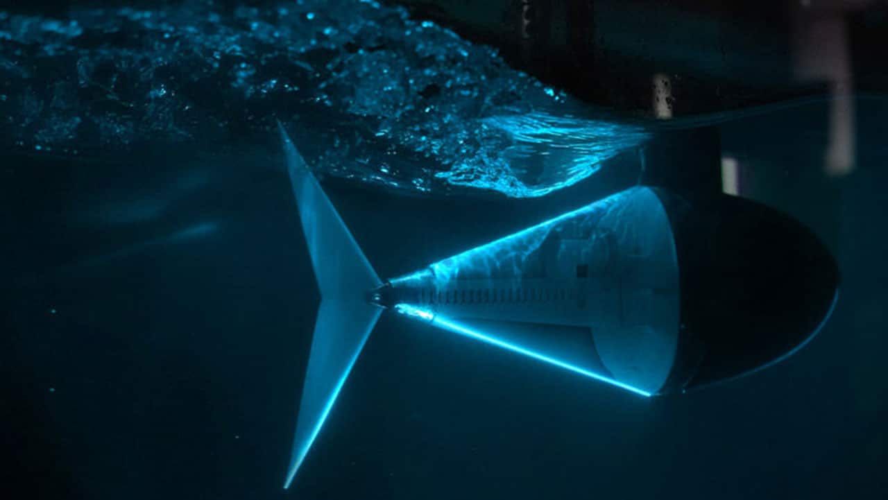 Des chercheurs conçoivent un robot-poisson qui nage comme un vrai poisson
