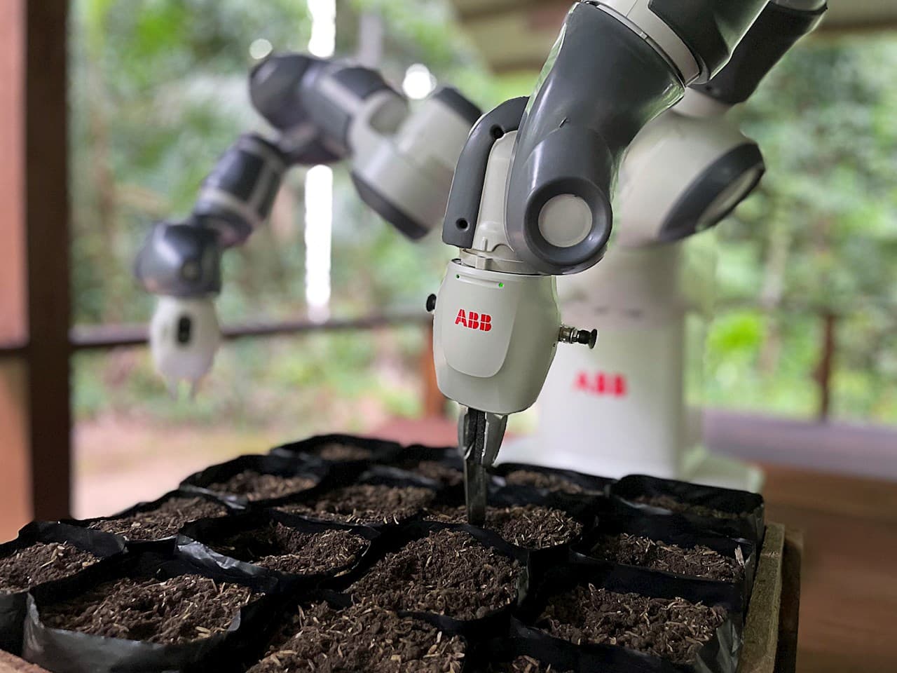 YuMi, le robot innovant qui combat la déforestation en Amazonie