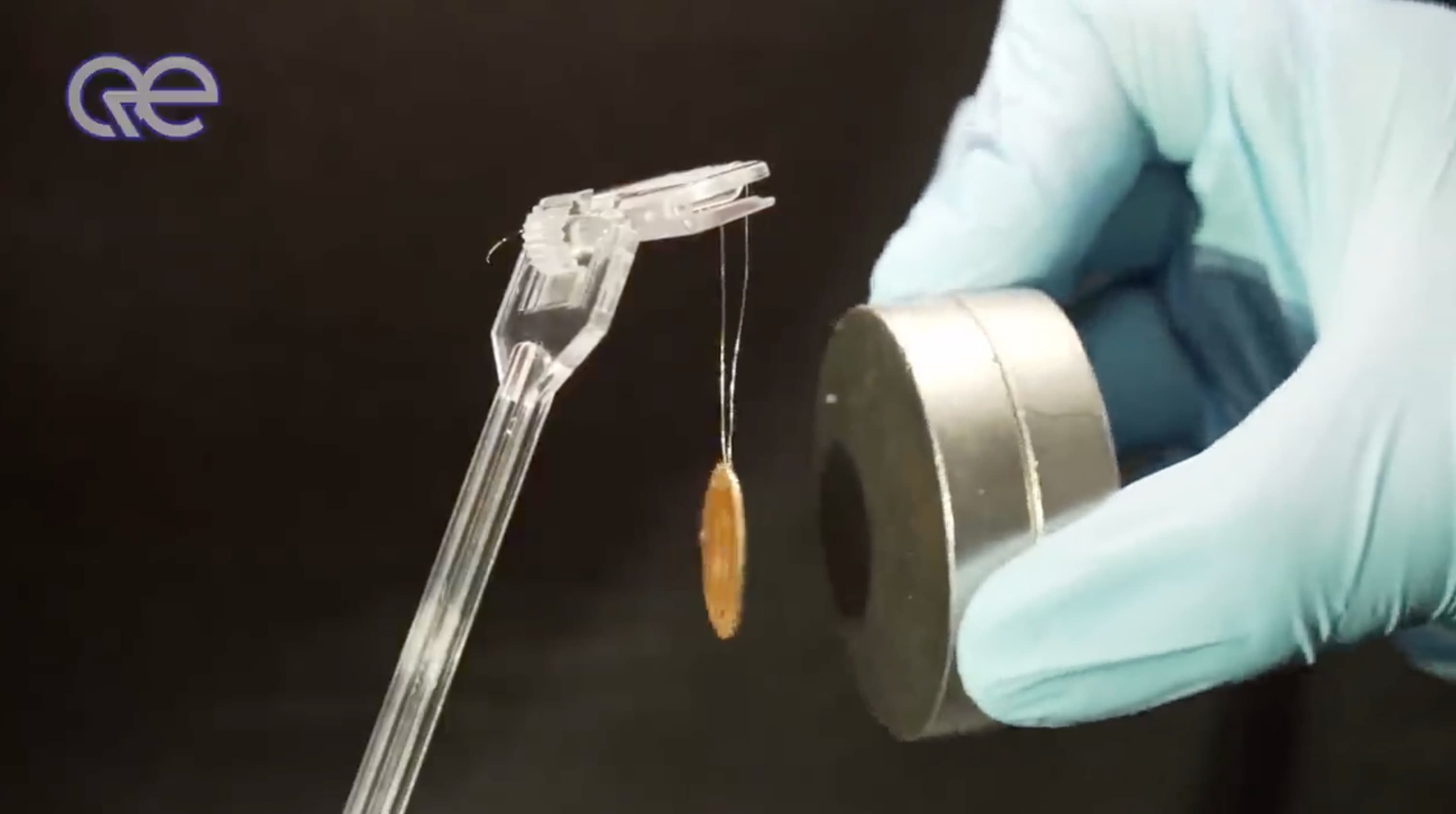 Découverte historique : le LK-99, un superconducteur opérationnel à température ambiante qui pourrait révolutionner le monde quantique